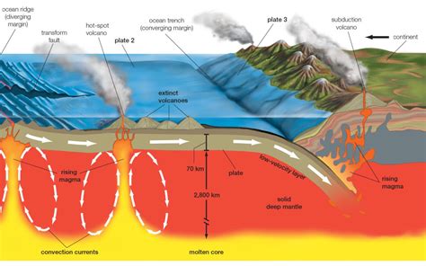 Tectonic .